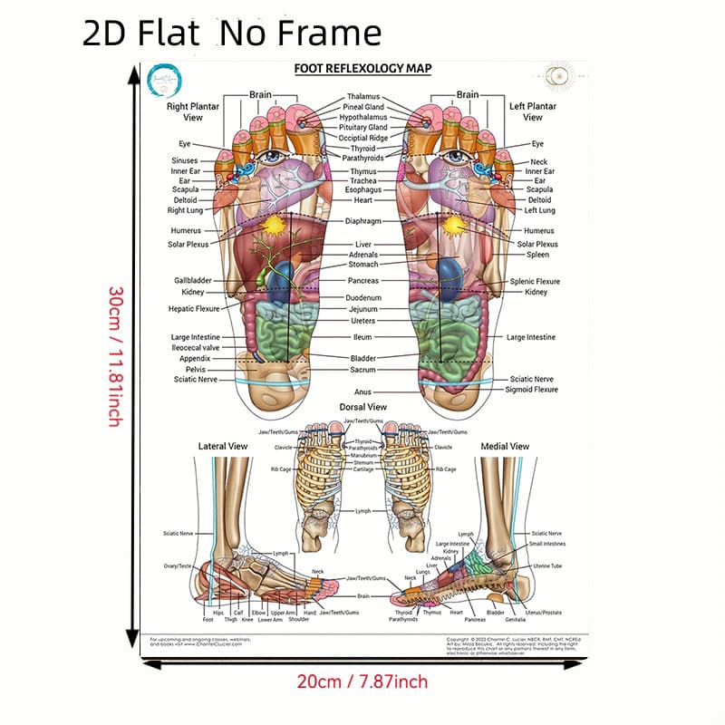 TEMU 2d Flat, 2d Flat, 2d Flat No Frame Canvas Poster, Foot Massage Design, Perfect For Bedroom, Living Room, Hallway And Bohemian Style Wall Decor, Ideal Creative Gift Size: 8inx12in