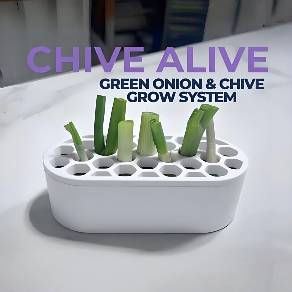 TEMU 1 Set Of Scallion Set-no Skills, At Home | For , Windowsills And Small Spaces | Fast Of