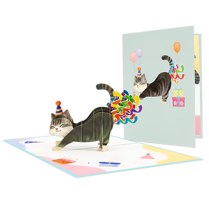 TEMU 3d Funny Birthday Card, Cat Farting Confetti Birthday Popup Cards For Anniversary, Wedding Thank You Card Graduation Gift To Friend, Mom, Dad, Husband, Wife, Cat Lover