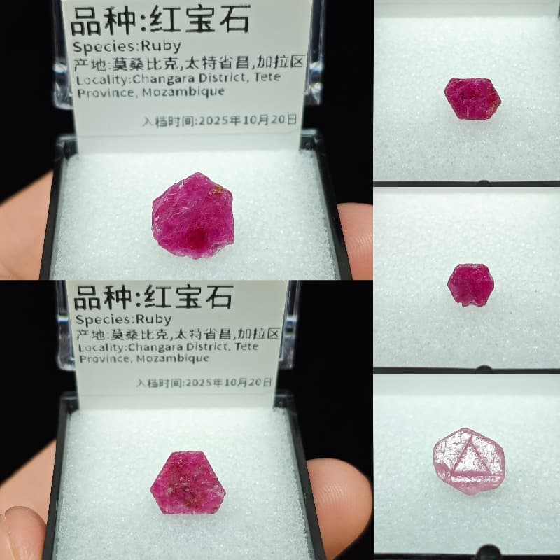 TEMU Natural Ruby Crystal Mineral Specimen Rare Red Gemstone Fluorescent Collector Gift Teaching Sample With Coa Random 1