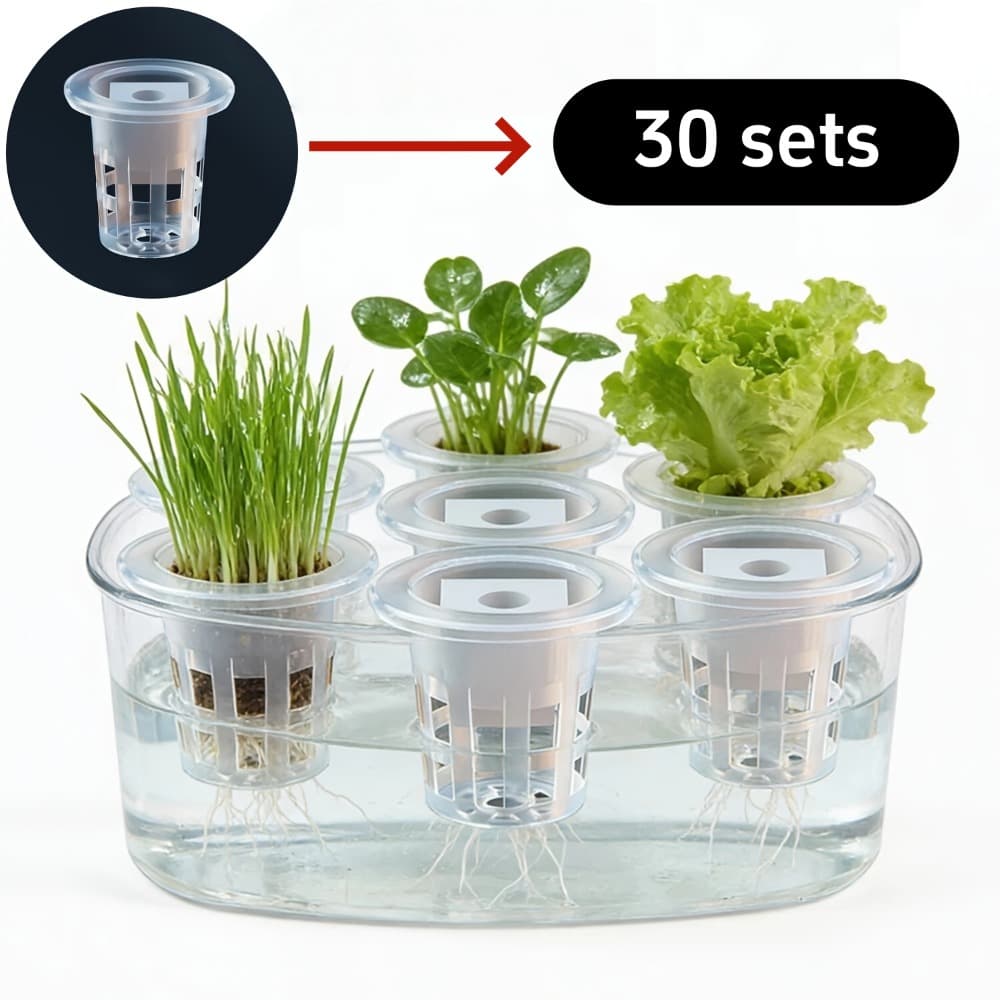 TEMU 30pcs Hydroponic Nursery Basket Set (including 15 Planting Baskets And 15 Nursery Sponges) | Seed Fixed, , Balcony, Greenhouse And Hydroponic Planting System Equipment