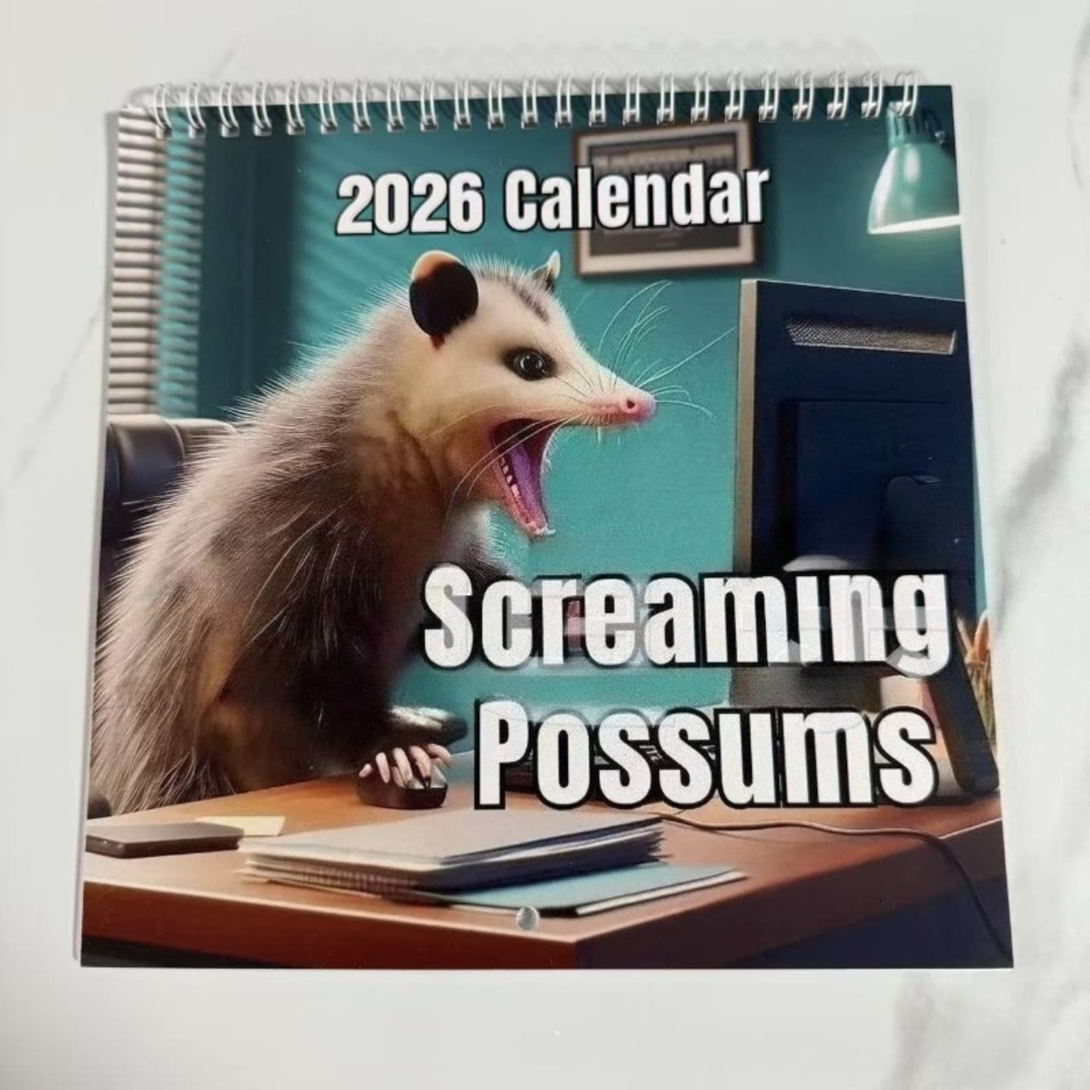 TEMU 2026 Squeaky Possum Calendar Cartoon Squeaky Possum Month Wall Calendar Mice Themed Family Planning Wall Calendar