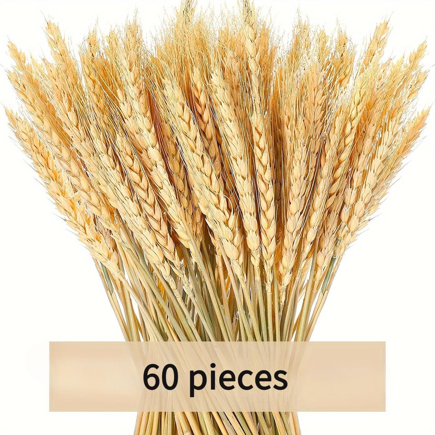TEMU 60pcs/high Quality Dry Wheat Bouquet- Perfect For Home Kitchen, Wedding Party Dining Table Center Decoration, Harvest Wreath And Farmhouse Diy Holiday Decoration