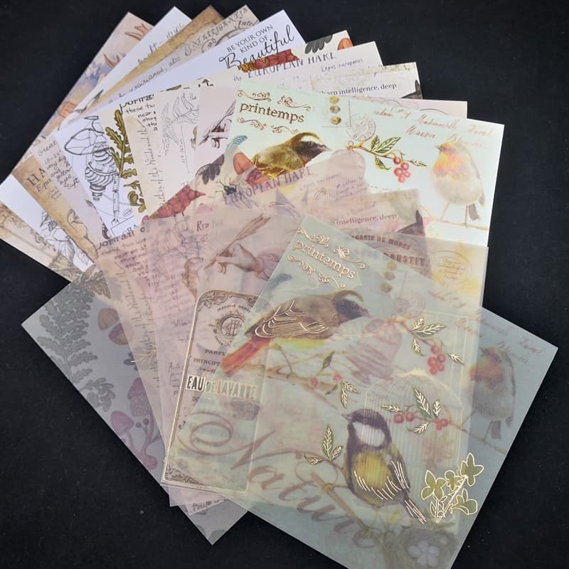 TEMU Vintage Bird Background Vellum Paper Stickers For Scrapbooking /card Making/journaling Project 15 Sheets