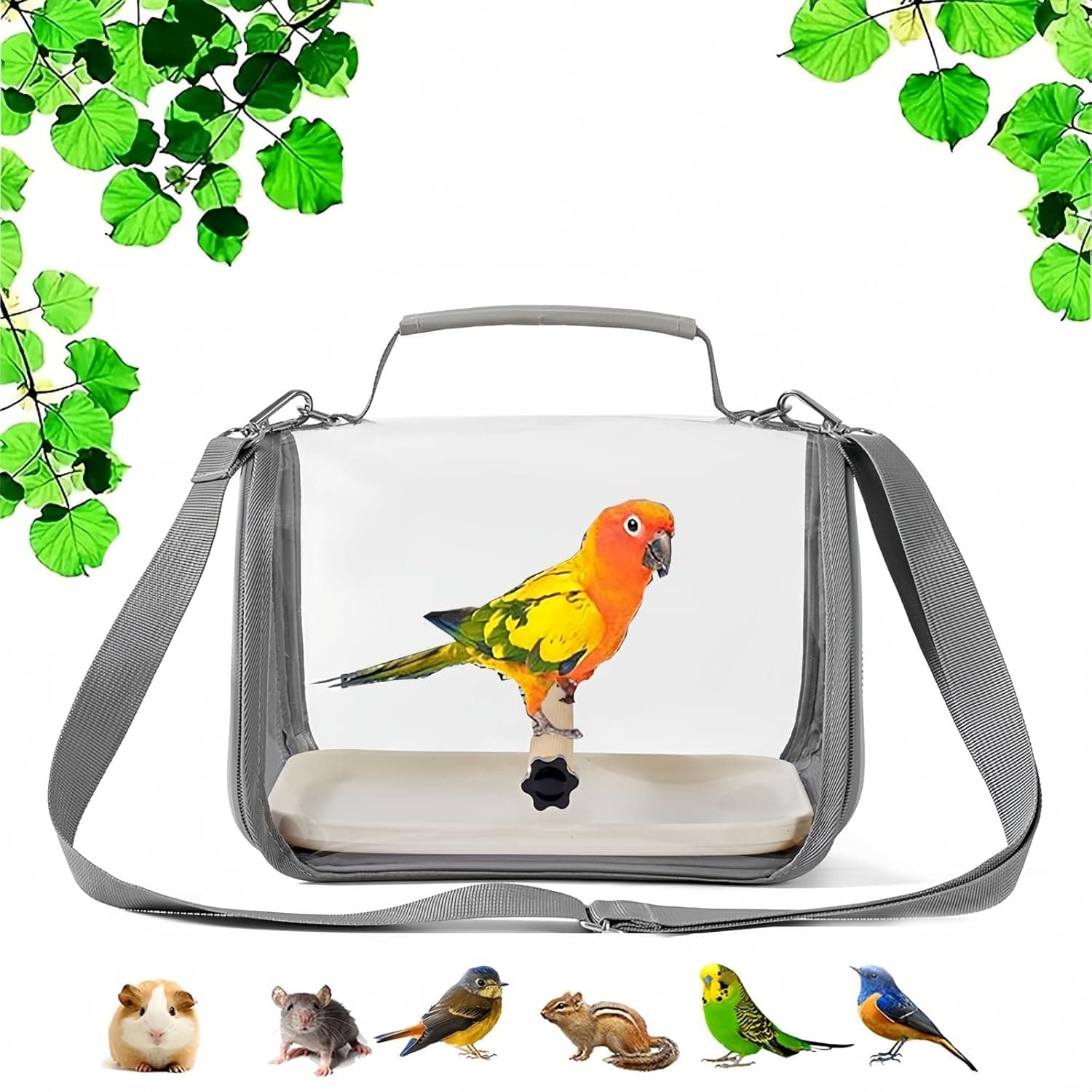 TEMU Compact Bird Travel Carrier Cage | With Standing Perch, Mat, And Tray For Birds And Lizards