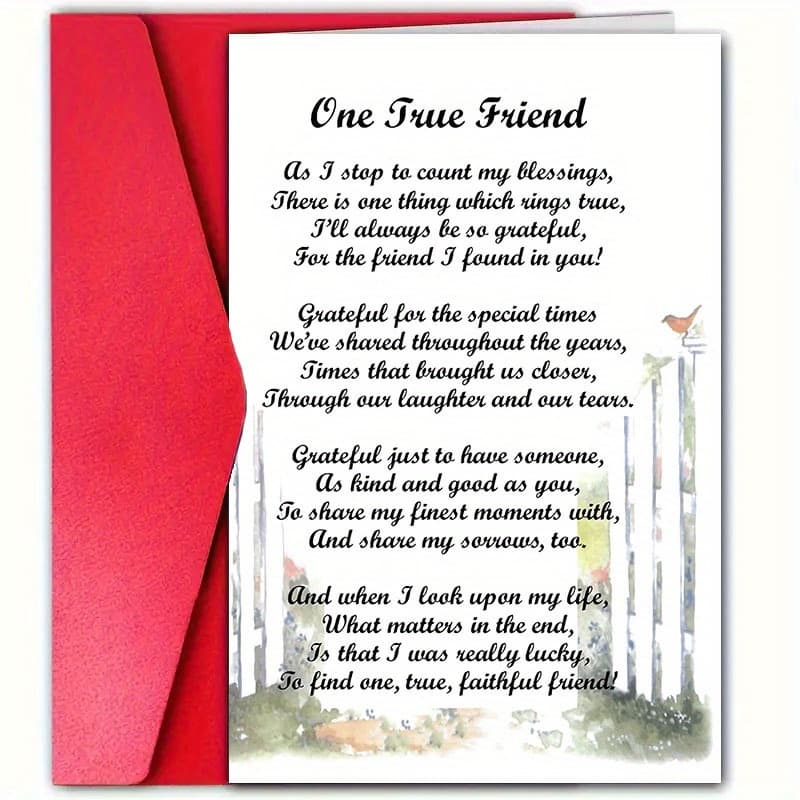 TEMU Genuine Friendship Card With Envelope – Poem To Best Friend, Expressing Gratitude For , 4.72 X 7.09 Inches Ideal For Friendship Day Or Any Occasion To Appreciation