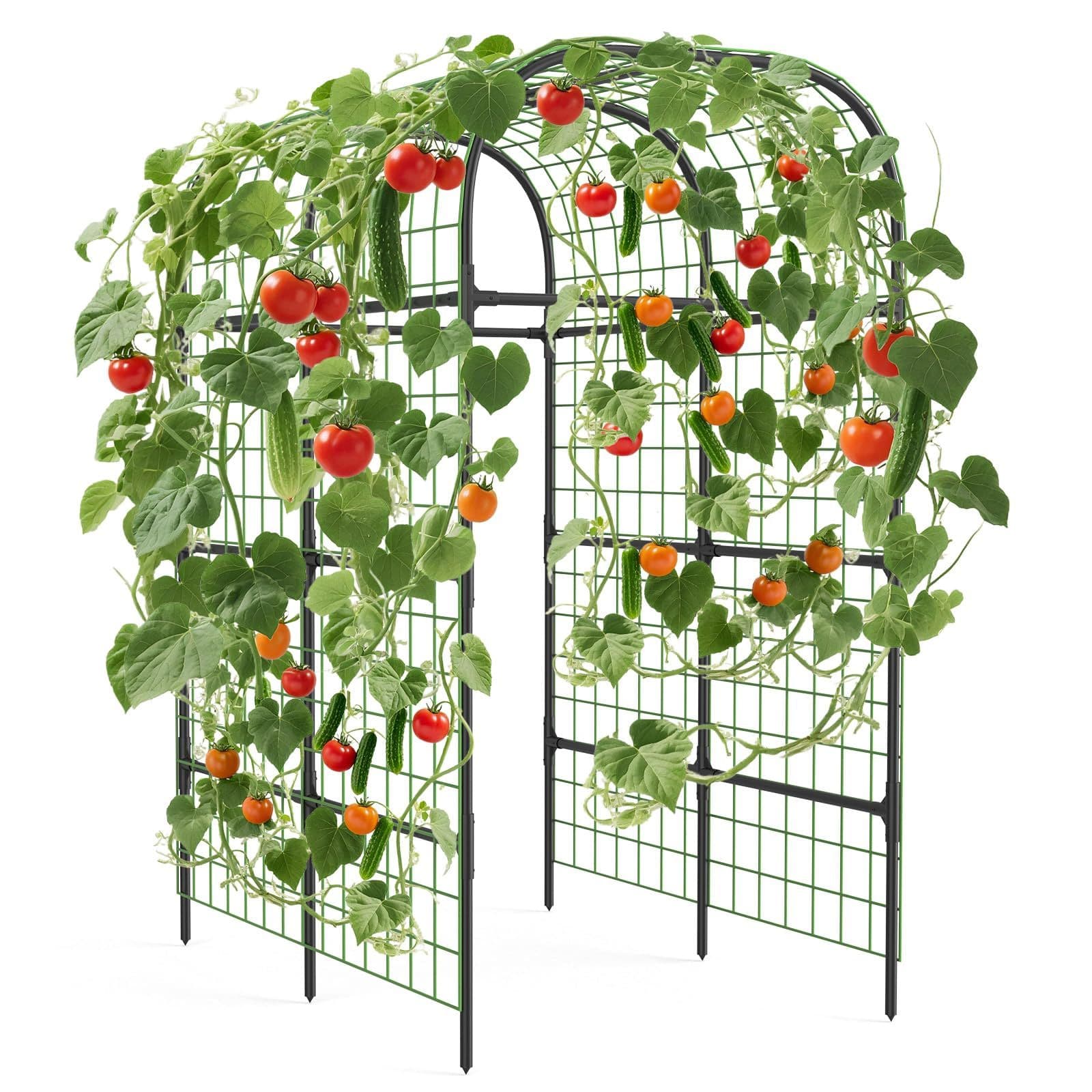 TEMU 7. 3ft Black Metal Garden Arch Trellis - Durable Plant Support For And Climbing Vegetables In Raised Beds, Ideal For Home Outdoor Decor