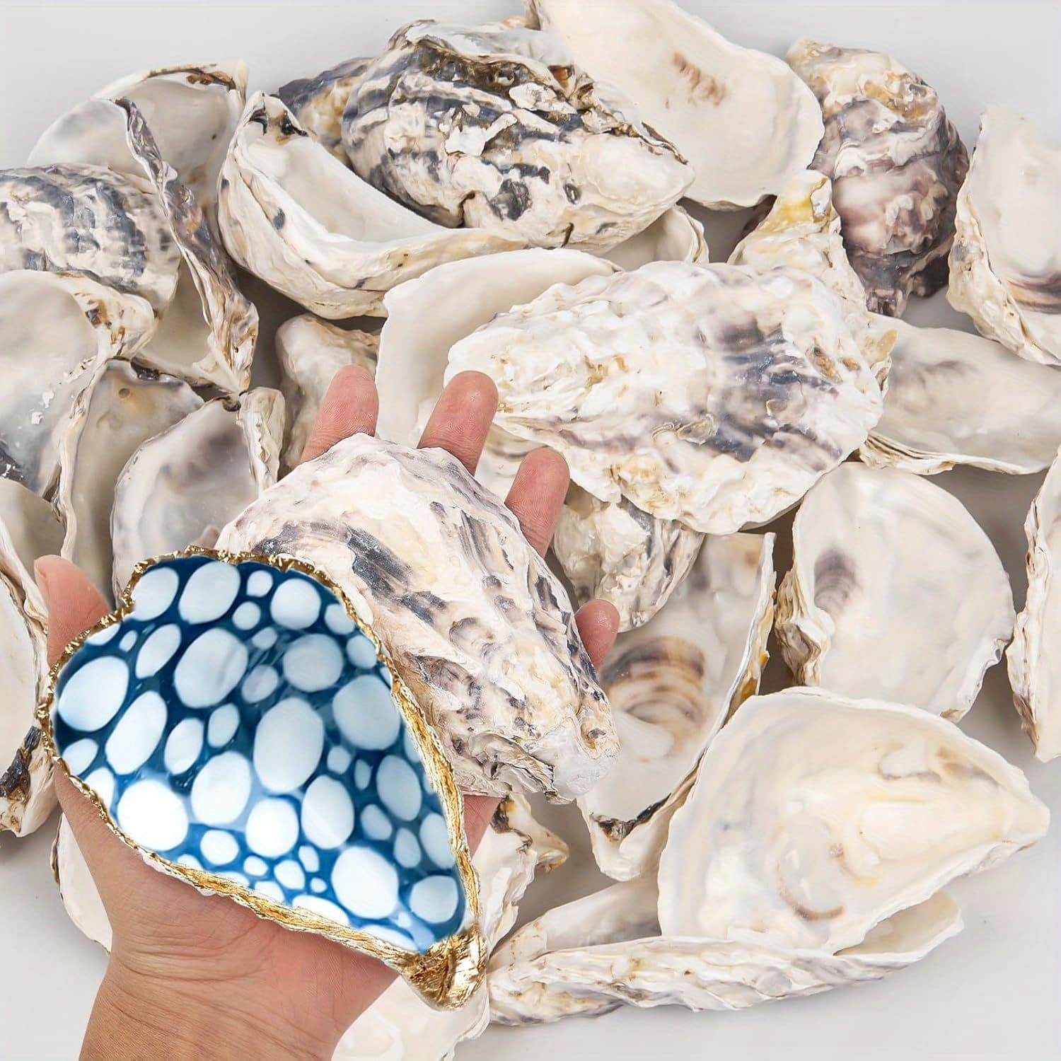 TEMU 15pcs Of Oyster Shells Measuring 4 To 5 Inches, Perfect For Crafts. Natural Oyster Shells Are In Bulk And Used As Vase Fillers, Christmas Decorations, Or For Arts And Crafts Involving Sea Shells
