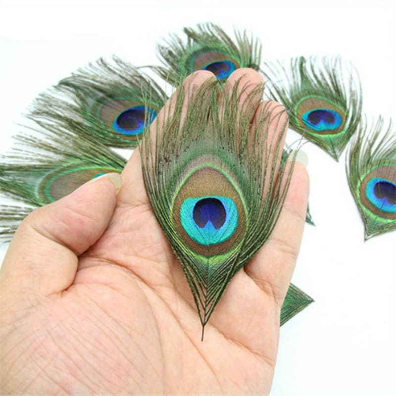 TEMU 24pcs/lot Simulation/realistic 13-16cm Simulation/realistic Peacock Feathers For Decoration Eye Additions Wedding Additions Decoration