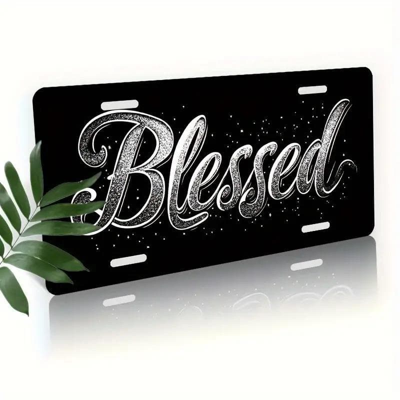 TEMU License Plate Holder And Shield, Glossy 'holy' Lettering , License Plate Collection, Suitable For All Genders, Measuring 12 Inches By 6 Inches