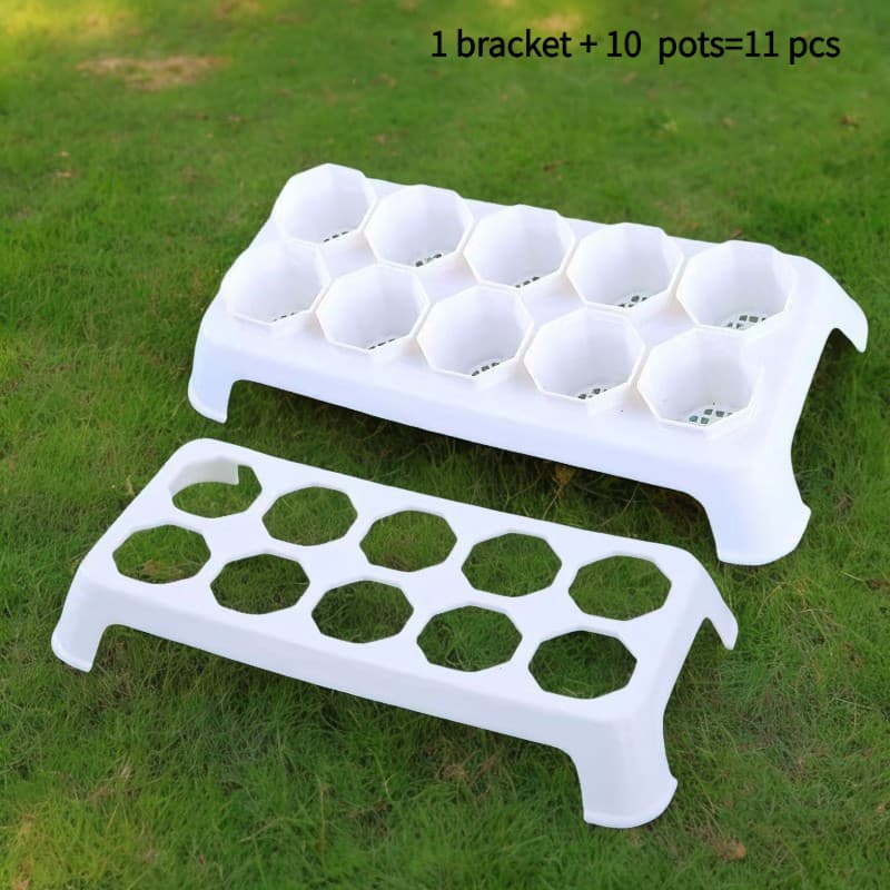 TEMU 11pcs Succulent White Octagonal Pots With 10-hole Bracket Small Flower Pots, Plastic Flower Pots, Planting Container Additions, Seedling Pots(without Plants), Plants, Vegetable Pots
