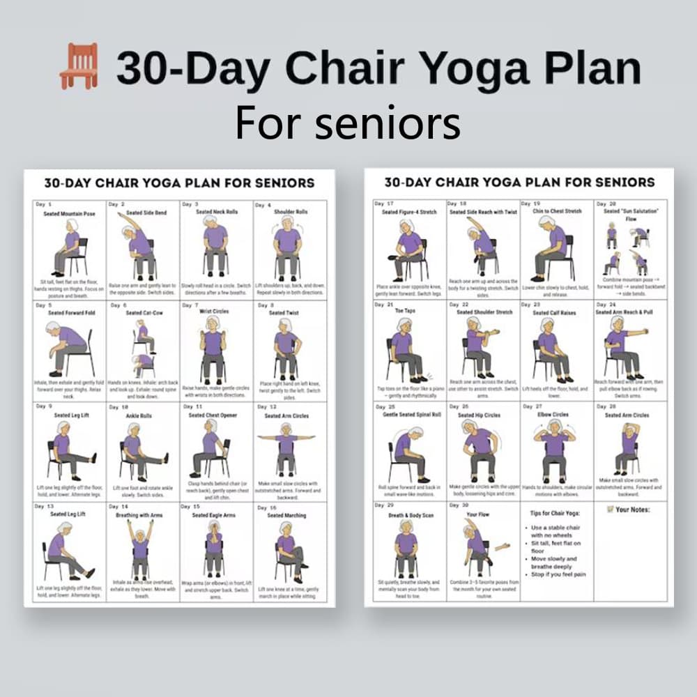 TEMU 2--day Chair Yoga Challenge For Seniors, Chair Exercise Guide Plan, Home Workout Program For The Elderly