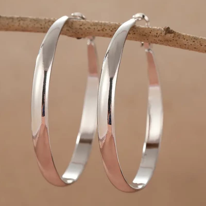 TEMU Easy Silvery Earrings For Women Fashion Hoop Earrings Jewelry