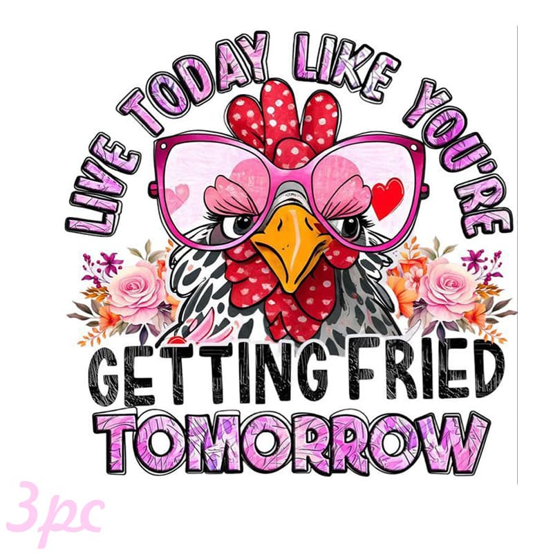 TEMU 3pcs Live Today Like Youre Getting Fried Tomorrow Chicken Pattern Heat Transfer Stickers Ironing Decals For T-shirts Pillows Backpacks And More Optional Durable Washable Fade-resistant