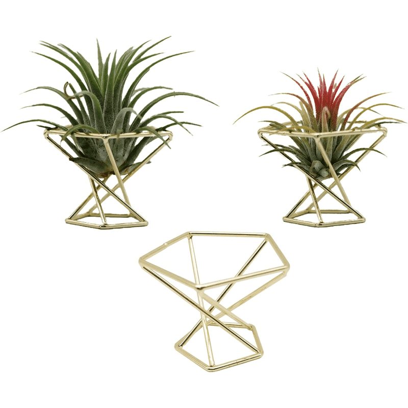TEMU 3pcs 5pcs Golden Geometric Air Plant Holder Airplants Rack Metal Plants Stand Planter Shelves Living Decor Pot Containers