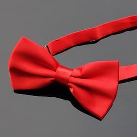 Homme Noeud Papillon Cravates Fête Basique Couleur Unie Formel Tenue de soirée