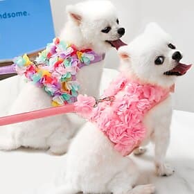 Dog Cat Harness Leash Cute Adorable Adjustable Soft Comfortable Safety Dailywear Casual Daily Dog Clothing for Husky Labrador Alaskan Malamute Golden Retriever