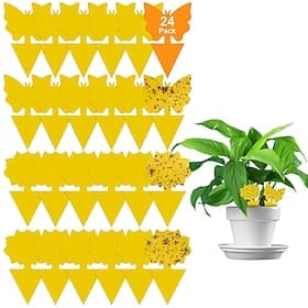 24 PCS Fruit Fly and Fungus Gnat Trap Yellow Sticky Bug Insect Killer for Indoor and Outdoor Insect Pest Control Garden Strong Glue Plant