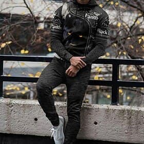 Men's Tracksuit Hoodies Set Yellow Dark Gray Brown Black Hooded Graphic Animal 2 Piece Print Sports  Outdoor Casual Sports 3D Print Basic Streetwear Sportswear