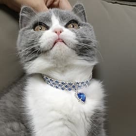 2 Pcs Pearls Diamond Pet Cat Dog Necklace Collar Jewelry with Bling Rhinestones for Pets Cats Small Dogs Female Puppy Chihuahua Yorkies Girl Costume Outfits Ad