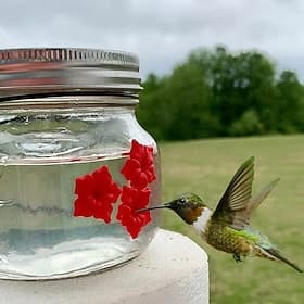 Hummingbird Feeders for Outdoors Portable Applies to All Birds, Bottle Hanging Humming Bird Feeder Outside, Leak-Proof Easy to Clean and Fill, with 3 Feeding P