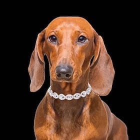 2 Pcs Necklace for Small Dog Pet Jewelry Dog Necklace Faux Pearl Dog Collar Beaded Dog Collar for Cat Puppy Kitten Chihuahua Yorkie Girl Costume Outfits Access