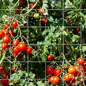 Trellis Netting Heavy-Duty Garden Plant Trellis Netting for Climbing Plants Outdoor Indoor Grow Net for Beans Tomatoes Peas Pumpkin Flowers