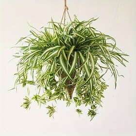 1pc 60CM Large Artificial Hanging Plants, Fake Spider Plants for Home Indoor Decor, Fake Greenery for Home Garden Office Wedding Decoration
