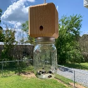 Piège à abeilles charpentières en bois naturel de qualité supérieure, 1 pièce, piège à insectes suspendu pour l'extérieur, de style boîte