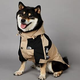 Dog Raincoat Waterproof Rain Poncho with Hoodie Pet Rain Jacket with Leash Hole for Small Medium and Large Dogs