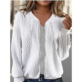 Women's Casual Jacket Comfortable Breathable Zipper Casual Plain Vacation Street Casual Daily Wear Zipper Short Stand Collar Regular Fit Long Sleeve Outerwear