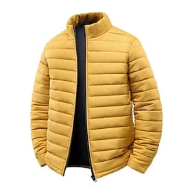 Men's Winter Coat Puffer Jacket Pocket Polyster Vacation Daily Wear Date Regular Fashion Casual Comfortable Thermal Warm Fall Winter Solid / Plain Color Black