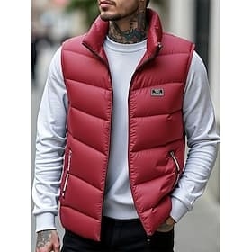 Men's Puffer Vest Vest Gilet Vacation Daily Date Fashion Casual Fall Winter Pocket Polyester Warm Comfortable Solid Color Zipper Stand Collar Regular Fit Blue