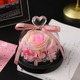 Preserved Real Rose in Beautiful Creative Heart Design Glass Dome Rose Gift for Her