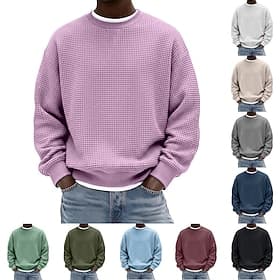 Men's Sweatshirt Waffle Sweatshirt Pullover Hoodie Sweatshirt Wine Red Black White Light Green Navy Blue Crew Neck Plain Textured Casual Daily Sports  Outdoor