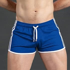 Men's Active Shorts Shorts Casual Shorts Mesh Plain Solid Quick Dry Breathable Short Outdoor Vacation Gym Sports Sport Blue Black Micro-elastic
