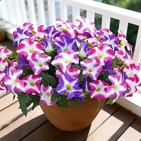 4 Bundles Spring Artificial Morning Glory Flowers for Outdoors, UV Resistant Fake Look Real Faux Silk Plants for Front Door Garden Porch Planter