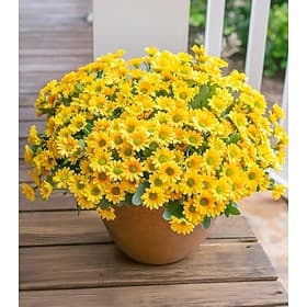 Artificial Daisy Flowers for Outdoors Decoration, 6 Bundles Fake Plants Flowers Bouquet Faux Flowers for Outdoor Planter Look Real UV Resistant Silk Flowers fo thumbnail 2