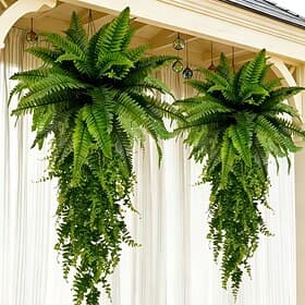 Boston Fern Boston Hanging Plant Combination, Artificial Plants Made Of High-End UV Resistant Materials, Suitable For Modern Wedding Garden Decoration