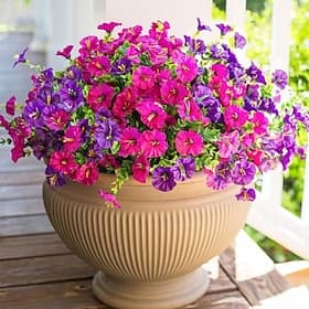 24 Bundles Artificial Flowers for Outdoors Decoration Fake Silk Morning Glory Flowers Faux Eucalyptus Plants UV Resistant for Porch Patio Garden Spring Summer