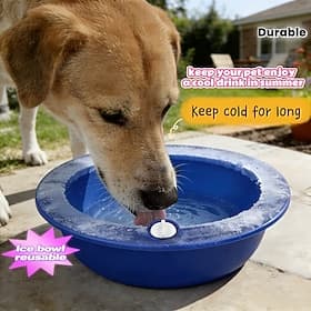 5-pack Pet Ice Bowls  Water Dispensers Refillable with water and freeze Summer Cooling Summer Cooling Essential Long-lasting Cold Retention Let your pet drink