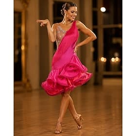 Dance Salsa Latin Dance Dress Fringed Tassel Crystals / Rhinestones Women's Training Performance Sleeveless High Spandex Tulle