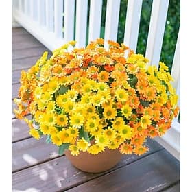 Artificial Daisy Flowers for Outdoors Decoration, 6 Bundles Fake Plants Flowers Bouquet Faux Flowers for Outdoor Planter Look Real UV Resistant Silk Flowers fo thumbnail 3