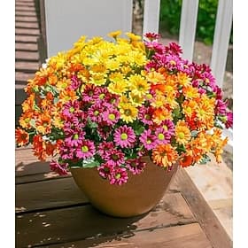 Artificial Daisy Flowers for Outdoors Decoration, 6 Bundles Fake Plants Flowers Bouquet Faux Flowers for Outdoor Planter Look Real UV Resistant Silk Flowers fo