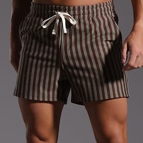 Homme Shorts Shorts d'été Shorts de plage Short décontracté Avec Poches Taille Élastique Bandes verticales Confort Respirant Court Extérieur Plage Vacances Vac