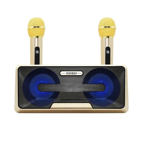 Wireless Bluetooth Speaker Microphone SD301 Family KTV Mobile phone Karaoke Microphone Dual microphone TF USB support