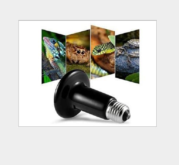 2021 Infrared Ceramic heat lamp lamps infrared bulb light (Reptile/pet/amphibian/poultry) 220V or 110V 50--250w