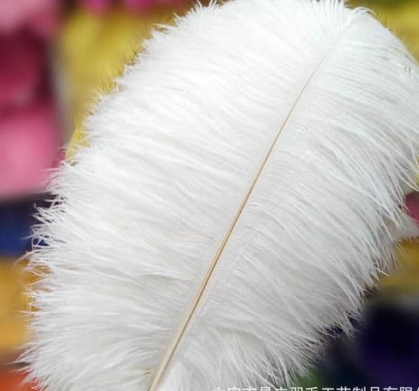 2021 new Ostrich Feather white 5-8 inch wedding Centerpieces Wedding Decoration party supplies decor event supply decor