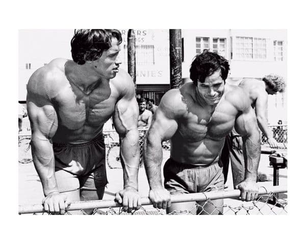 Franco Columbu Poster Painting Print Home Decor Framed Or Unframed Photopaper Material