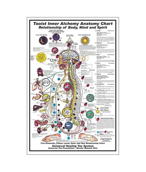 Taoist Inner Alchemy Anatomy Chart Poster Painting Print Home Decor Framed Or Unframed Photopaper Material